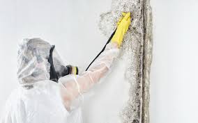 Best HVAC Mold Inspection and Cleaning  in Burns Harbor, IN